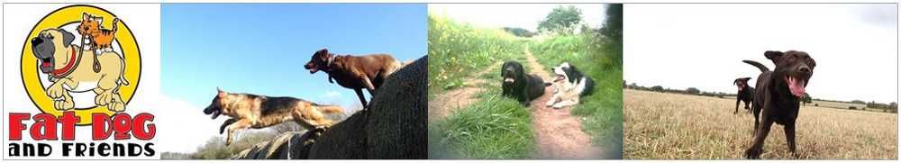 Click to go to our Fat Dog and Friends Home Page Fat Dog and Friends Banner Image